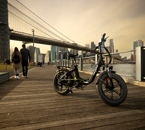 Diferenciais da E-Bike Big Wheel 8.0
